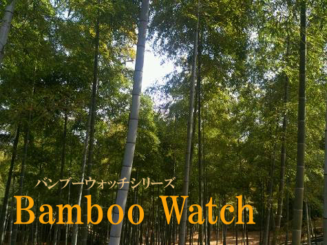 竹の腕時計,竹製腕時計,バンブー,バンブーウォッチ